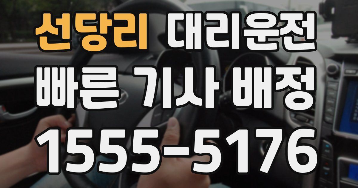 일일대리기사