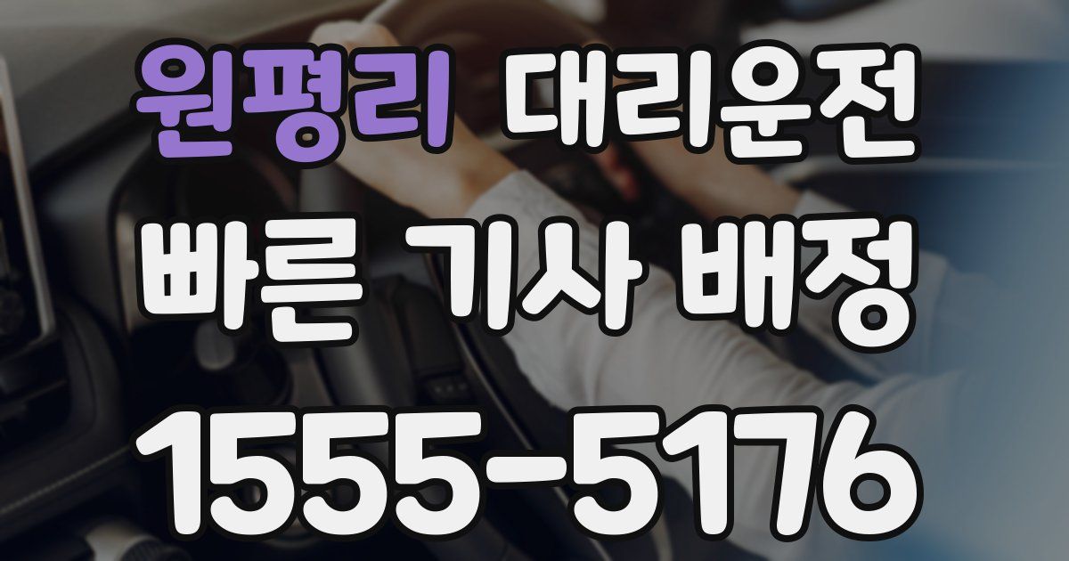 일일대리기사