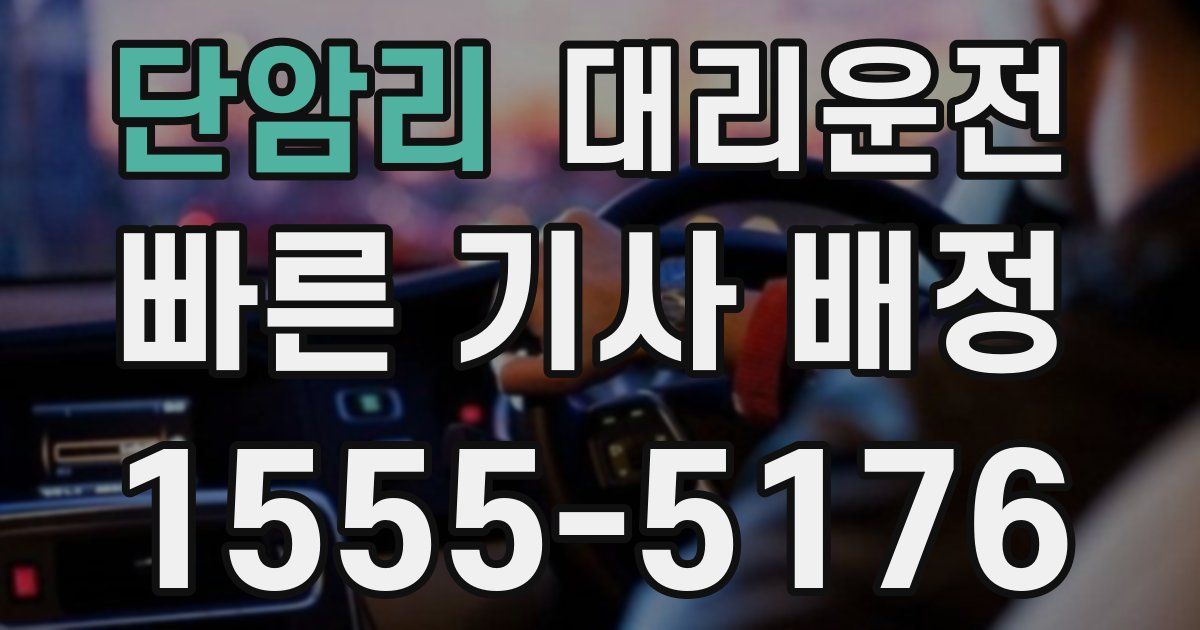 일일대리기사
