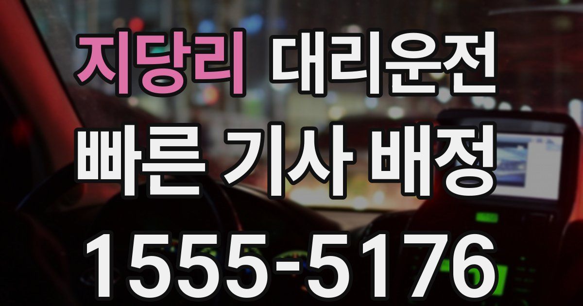 일일대리기사