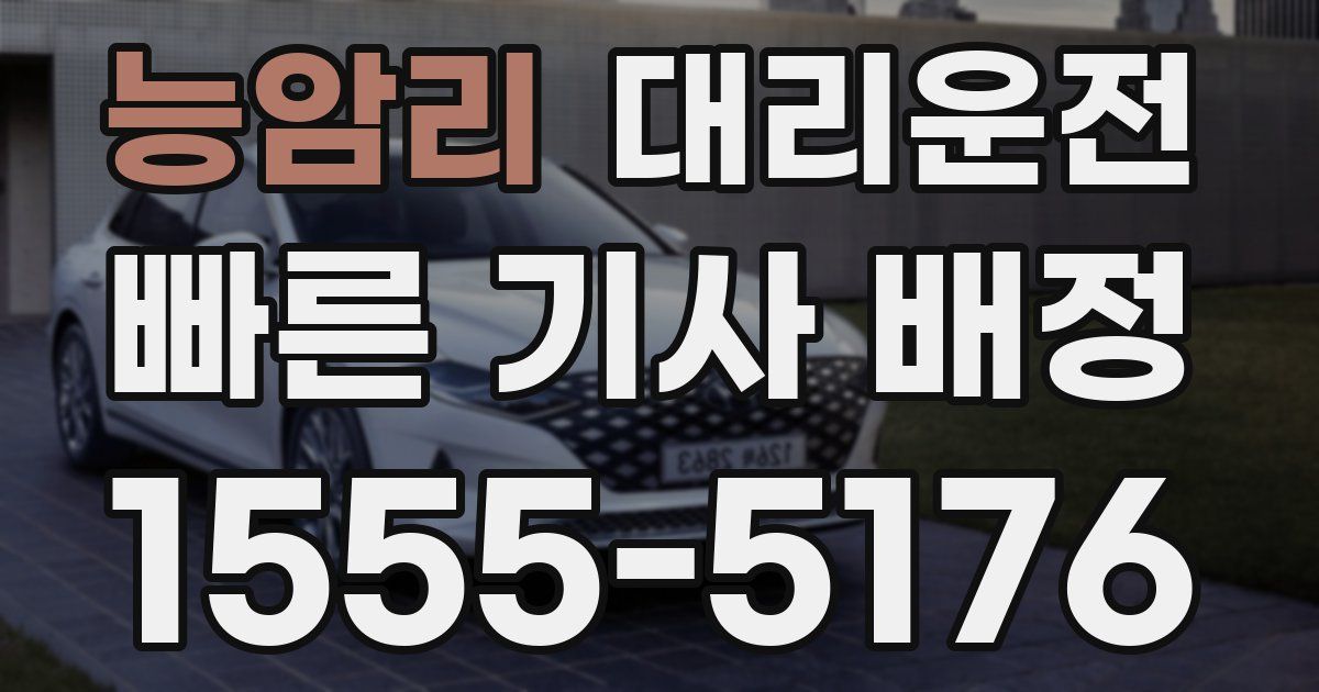 일일대리기사
