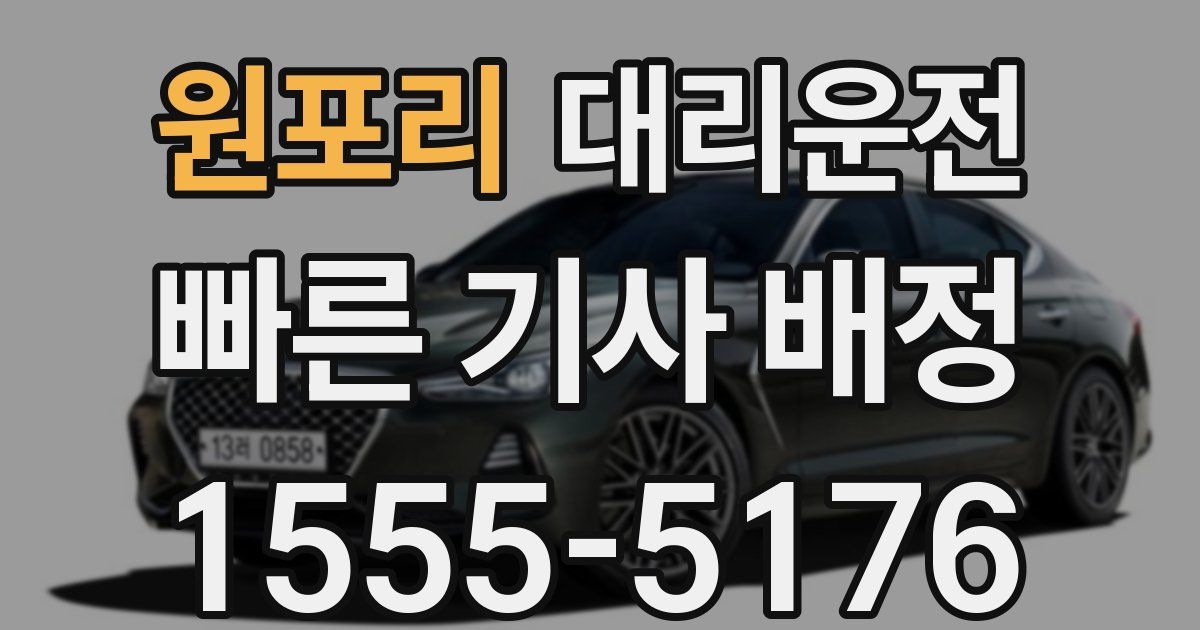 일일대리기사