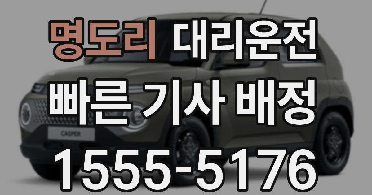 일일대리기사
