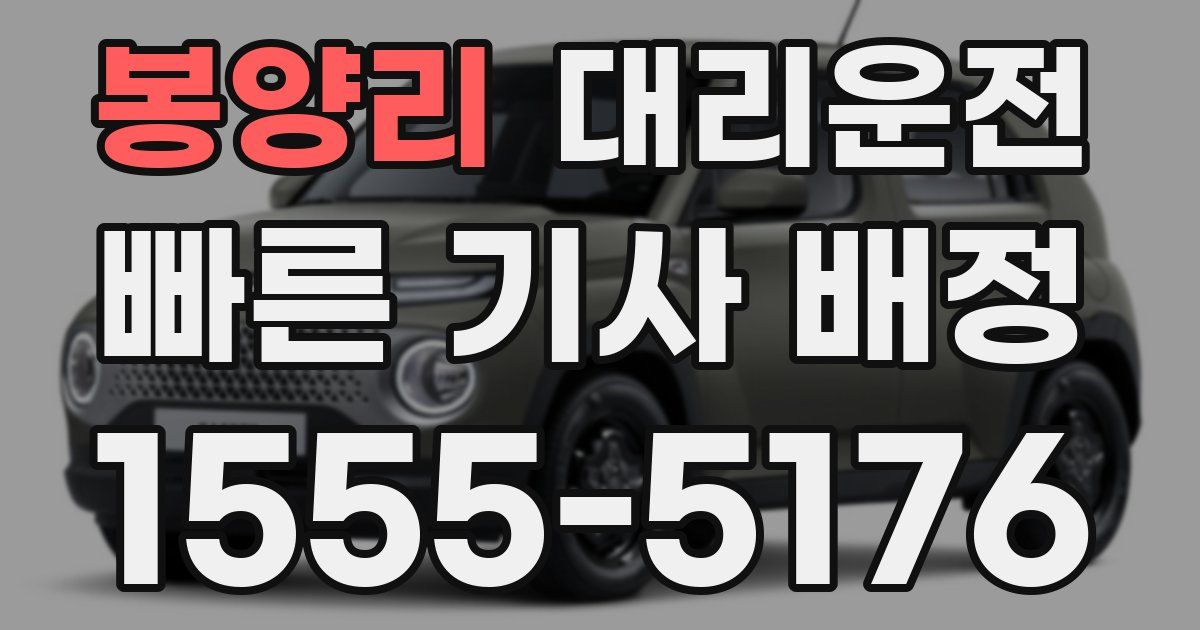 일일대리기사