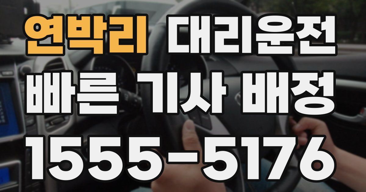 일일대리기사