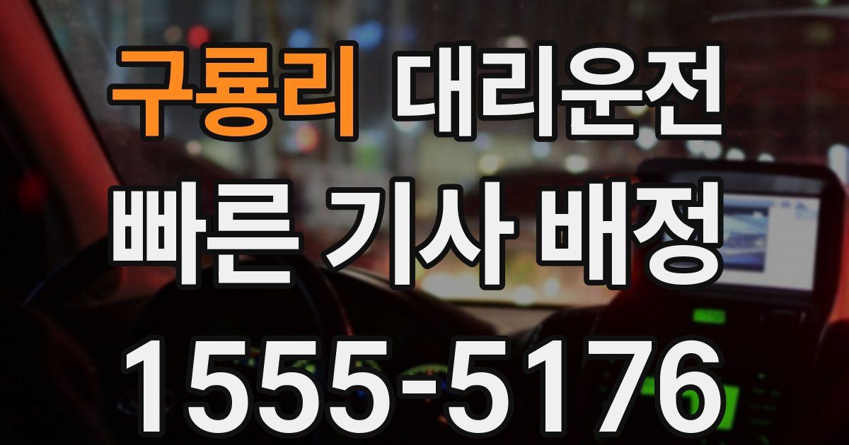 일일대리기사