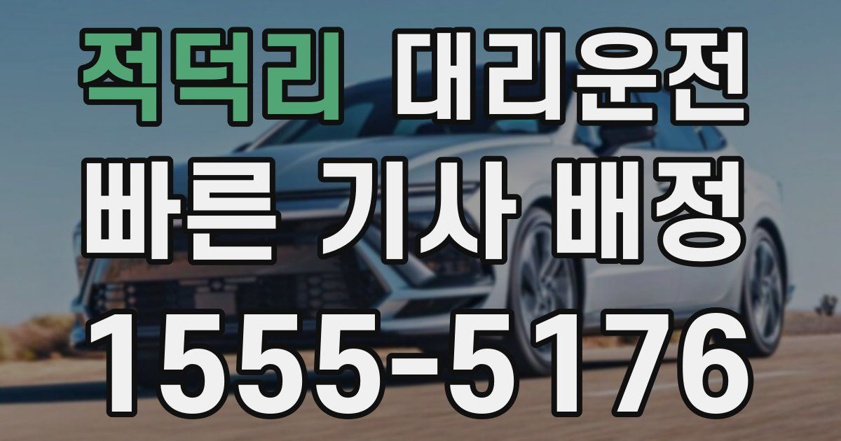 일일대리기사