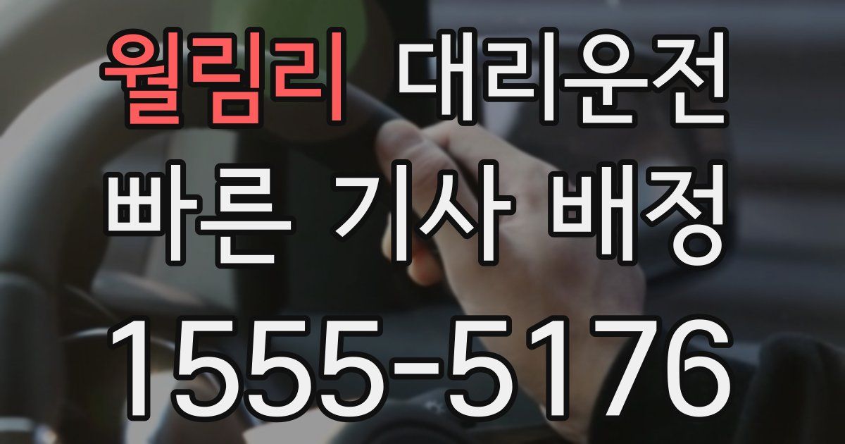 일일대리기사