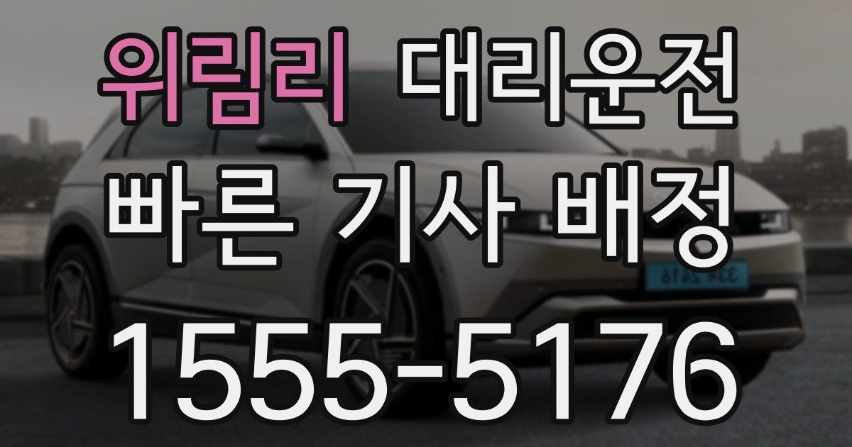 일일대리기사