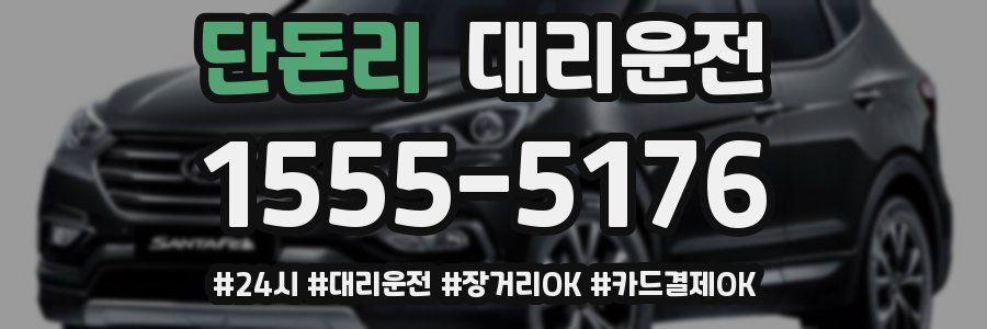 단돈리 대리운전
