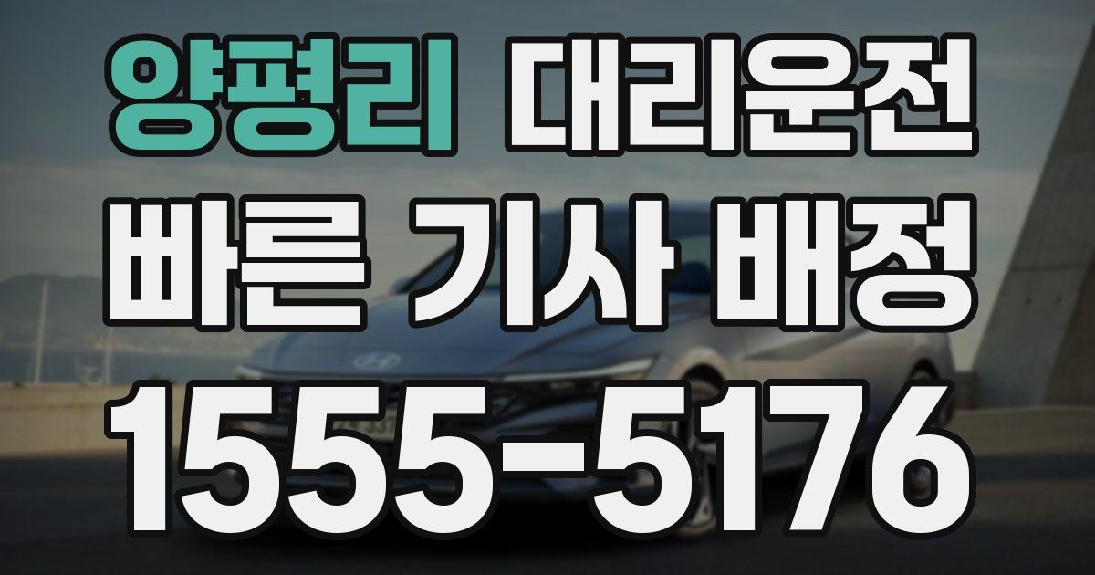 일일대리기사