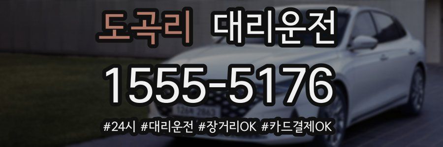도곡리 대리운전