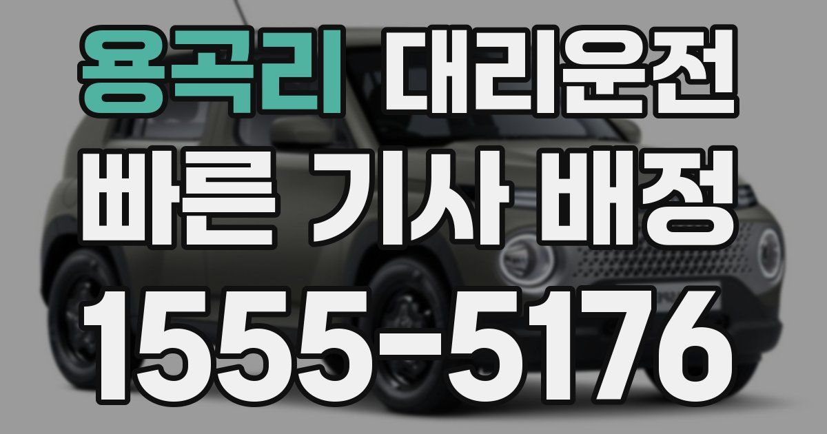 일일대리기사