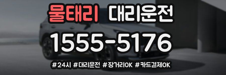 물태리 대리운전