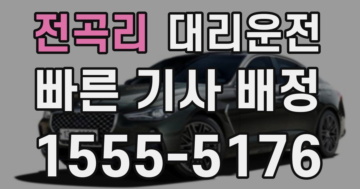 일일대리기사