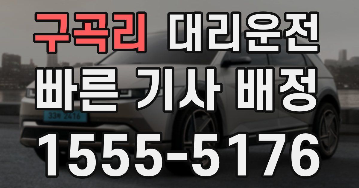 일일대리기사