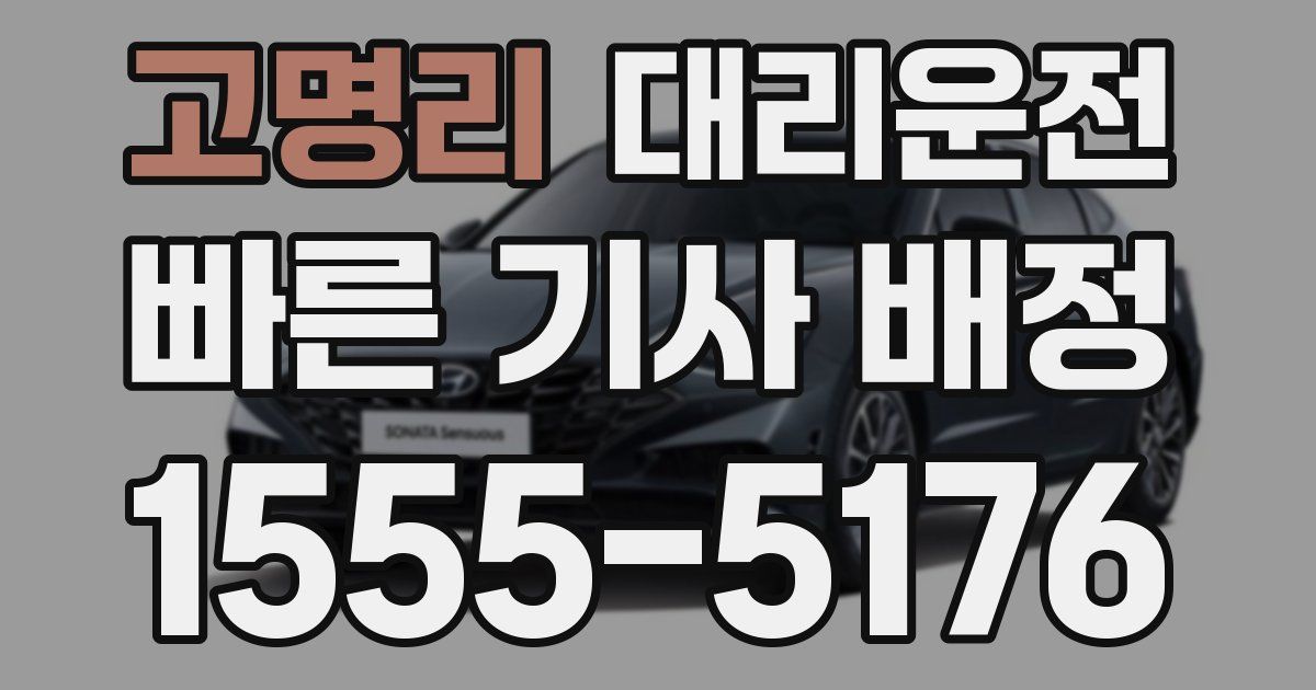 일일대리기사