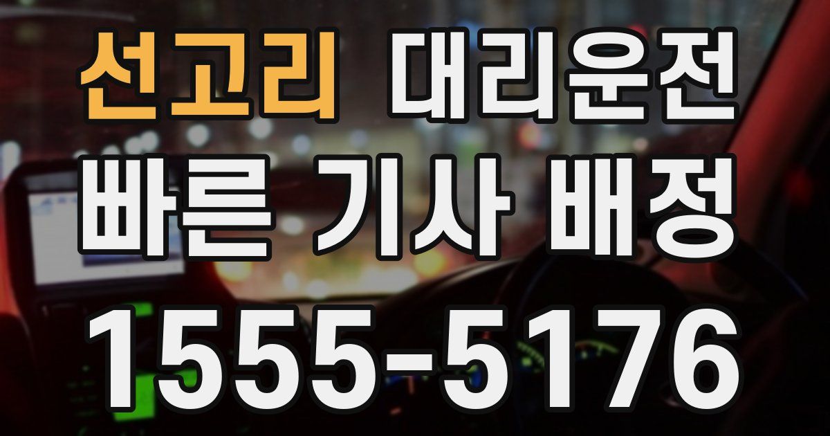 일일대리기사