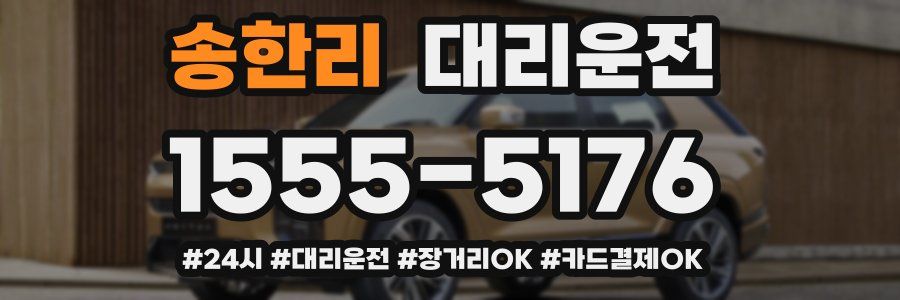 송한리 대리운전