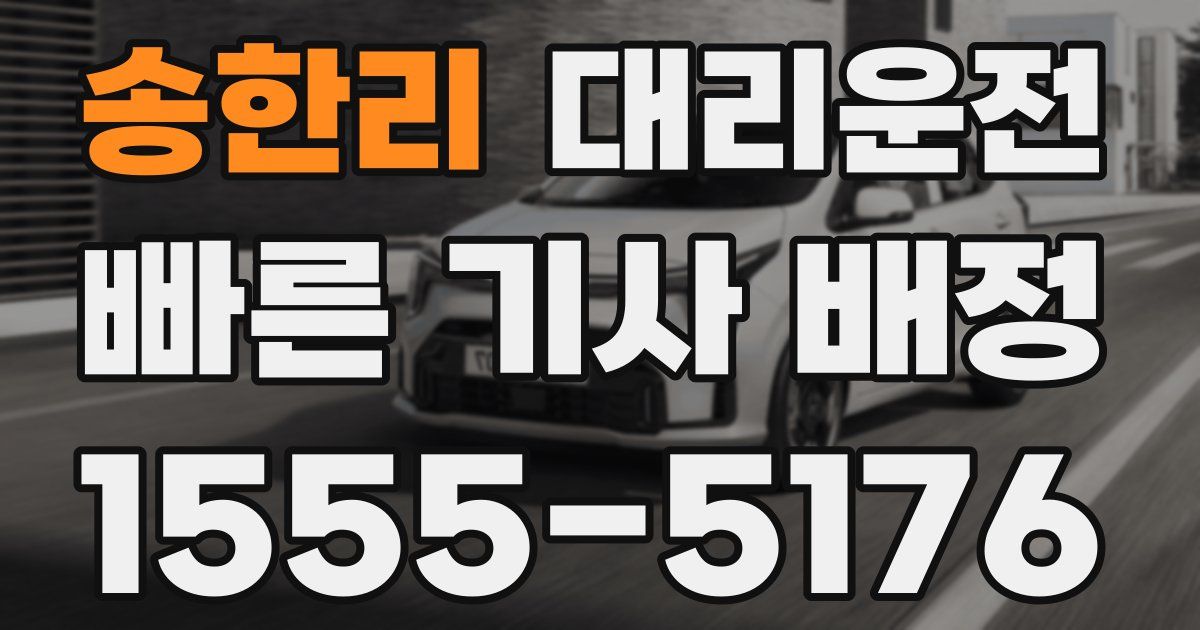 일일대리기사