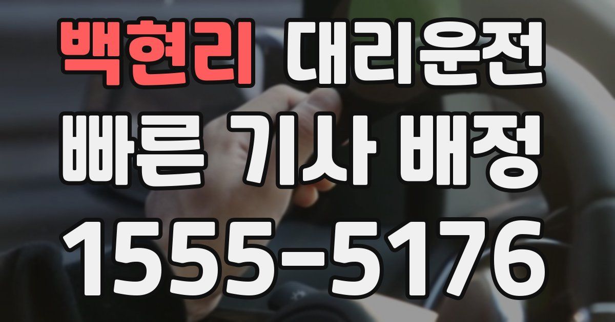 일일대리기사