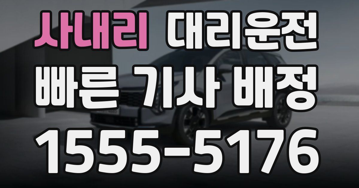 일일대리기사