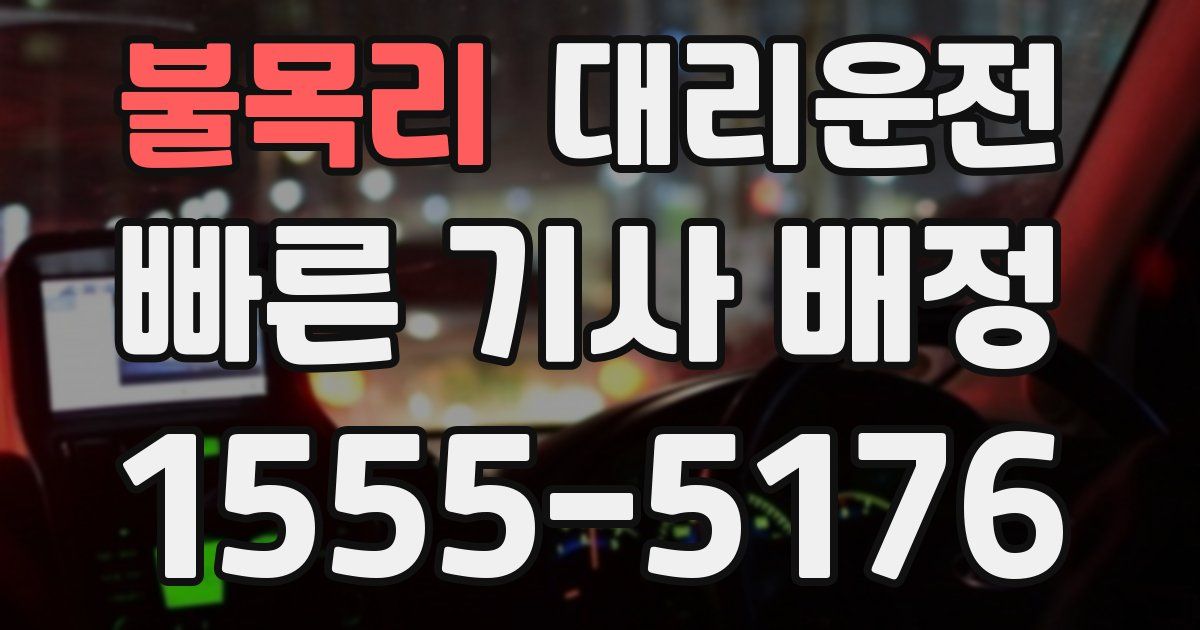 일일대리기사