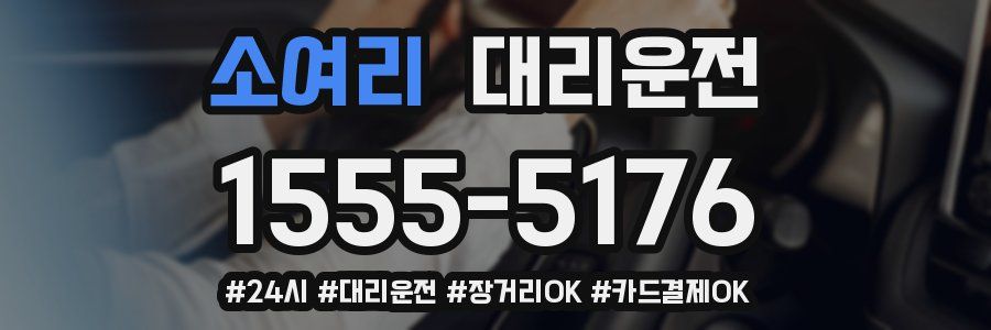소여리 대리운전