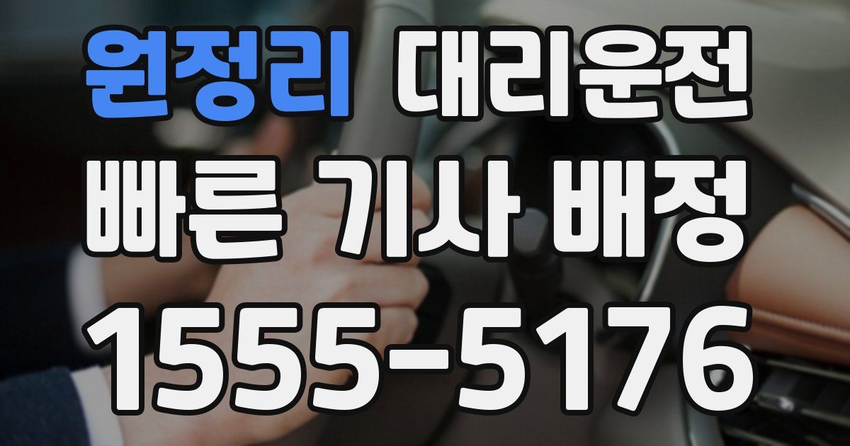 일일대리기사