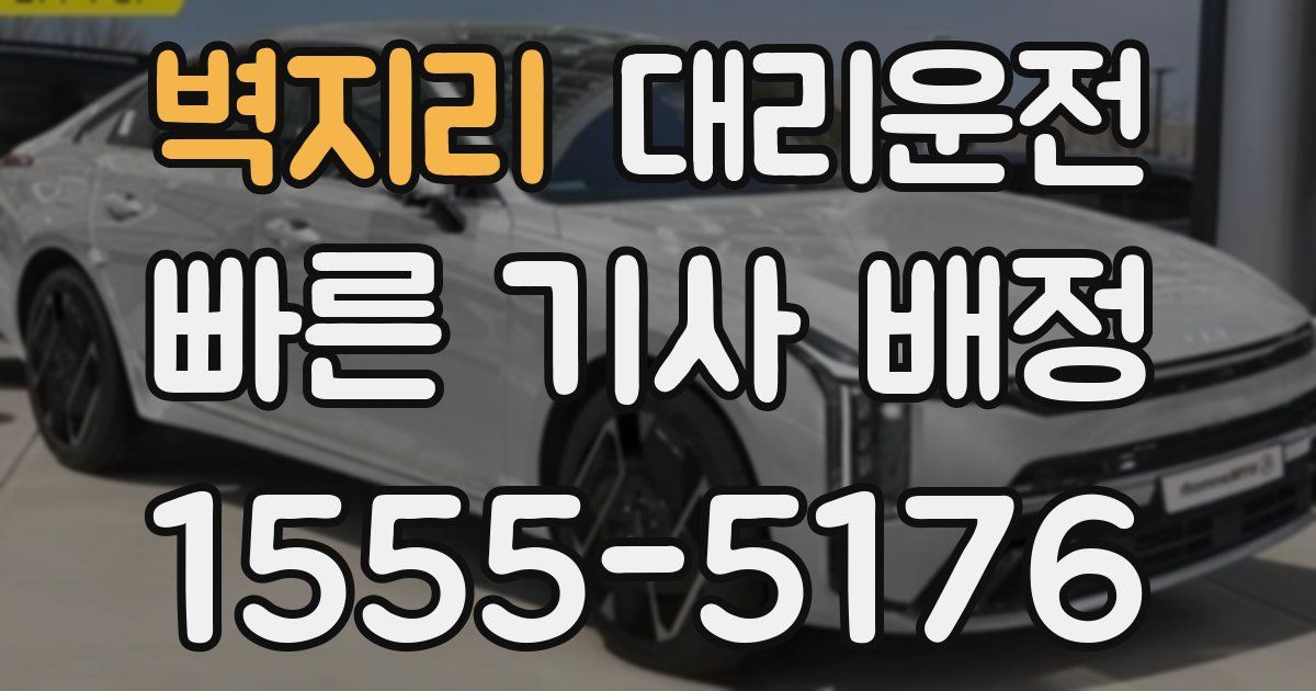일일대리기사