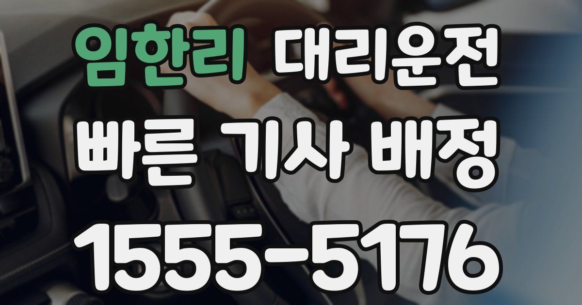 일일대리기사