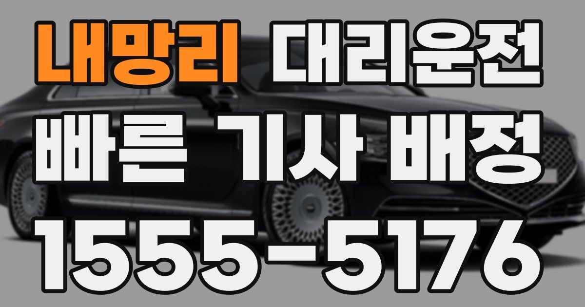 일일대리기사