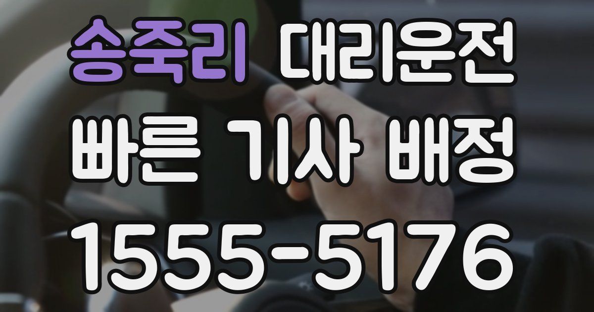 일일대리기사