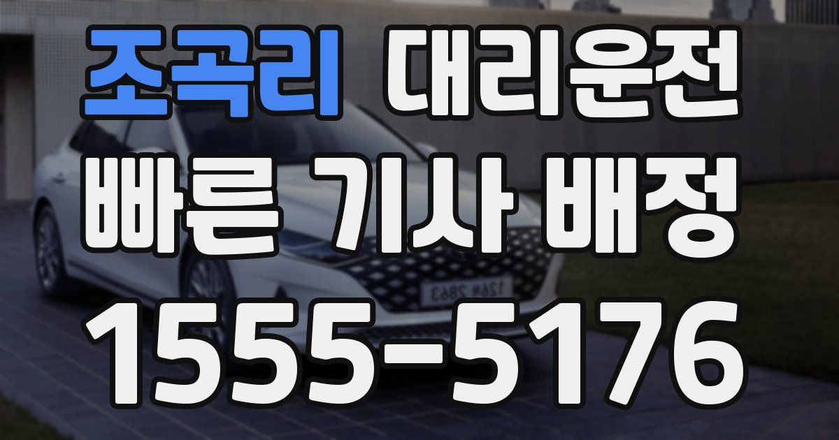 일일대리기사