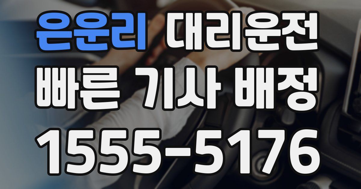 일일대리기사