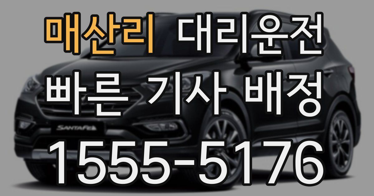 일일대리기사