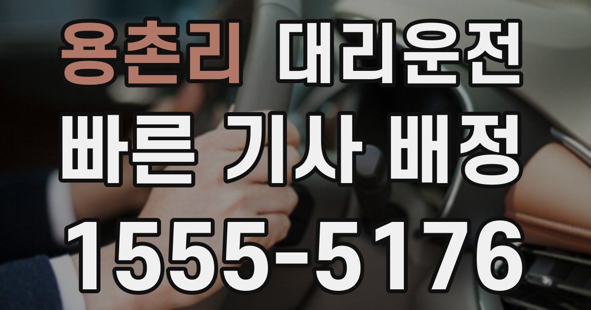 일일대리기사