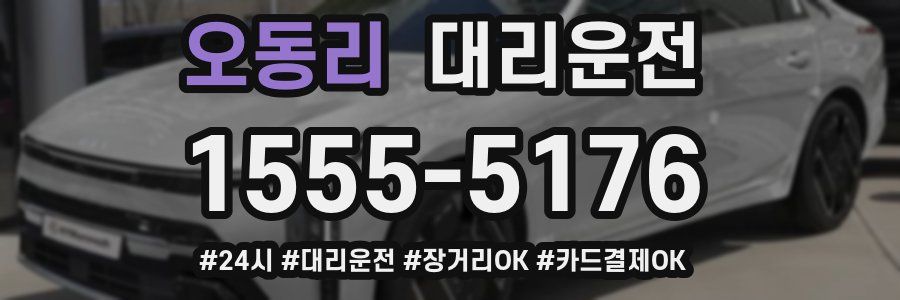 오동리 대리운전