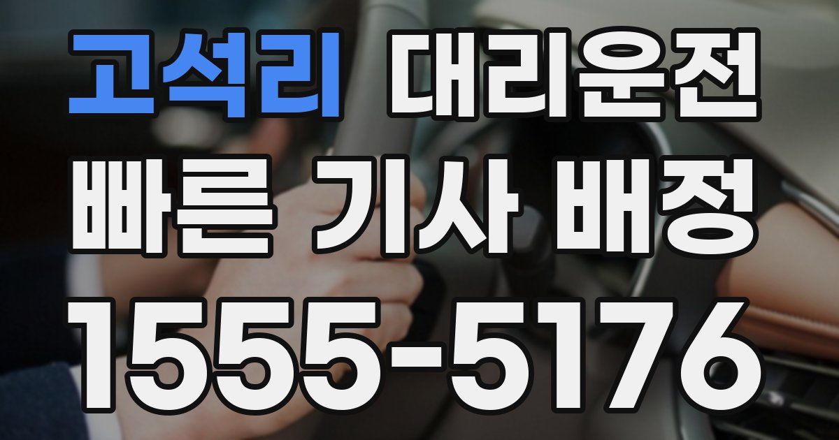 일일대리기사