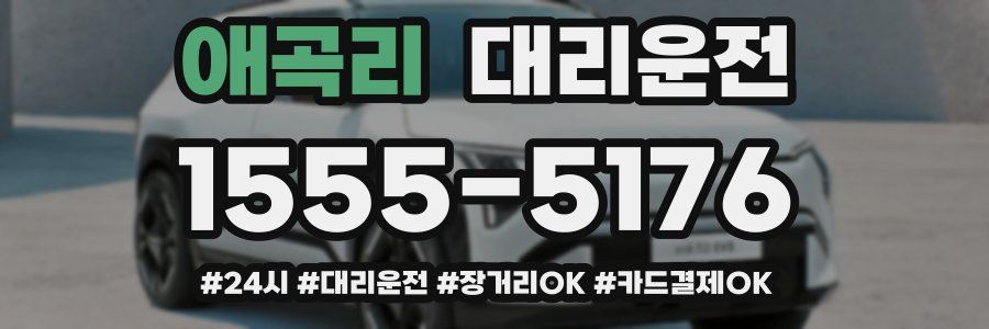 애곡리 대리운전