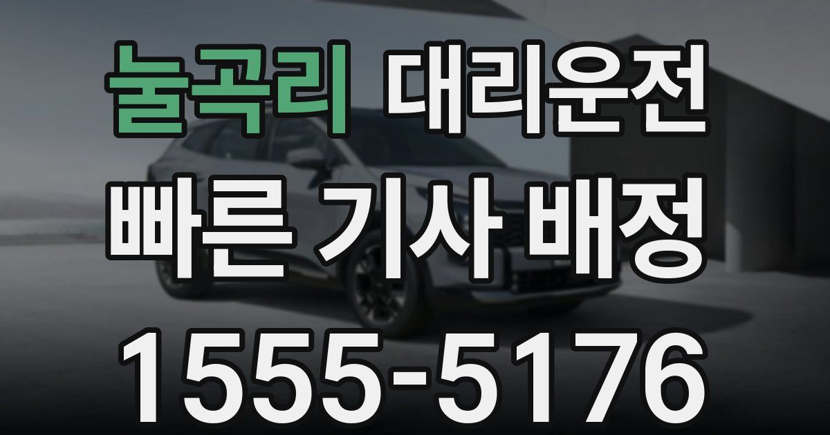 일일대리기사