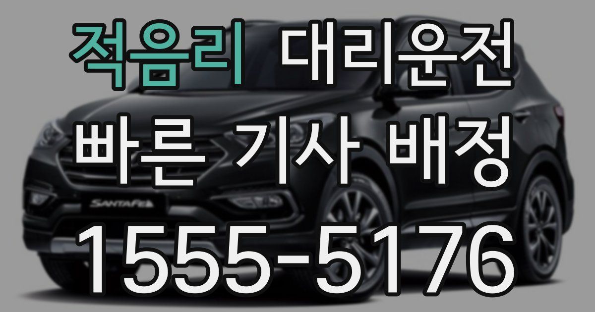 일일대리기사