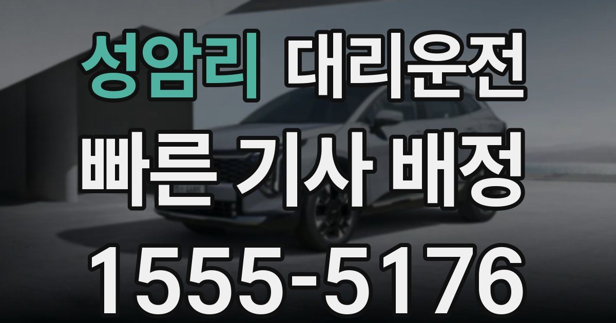 일일대리기사
