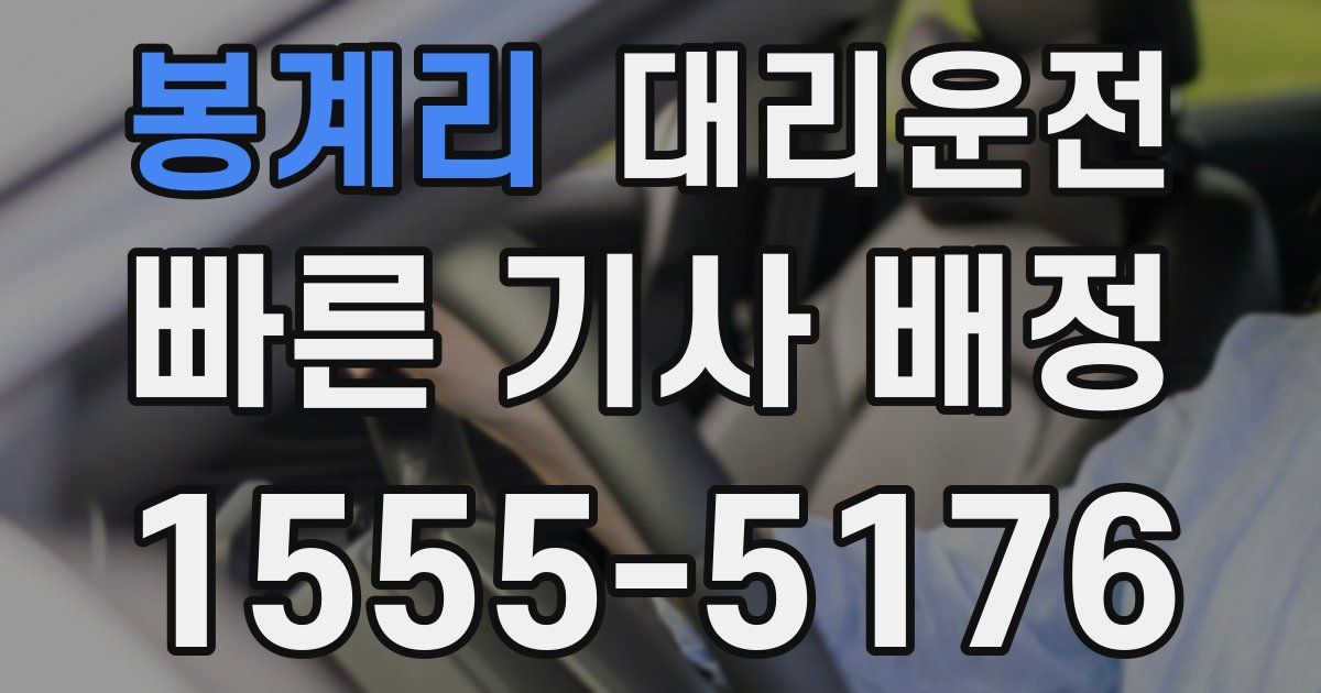일일대리기사