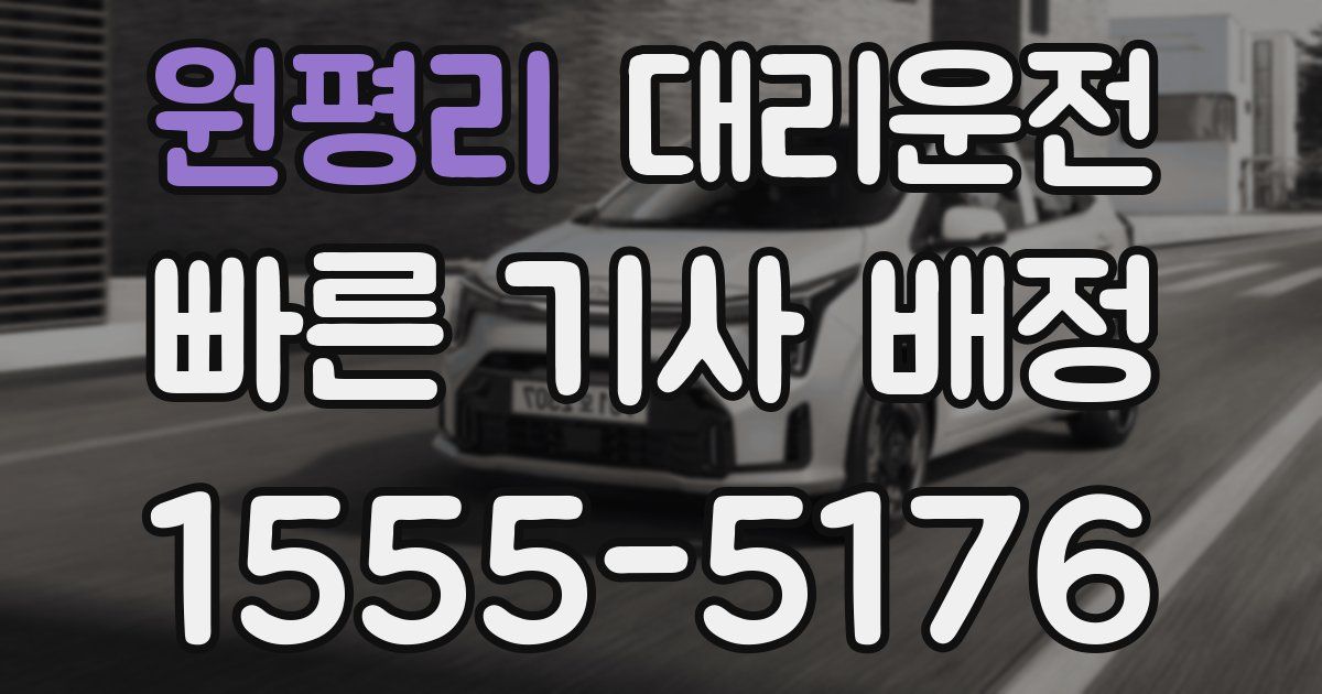 일일대리기사