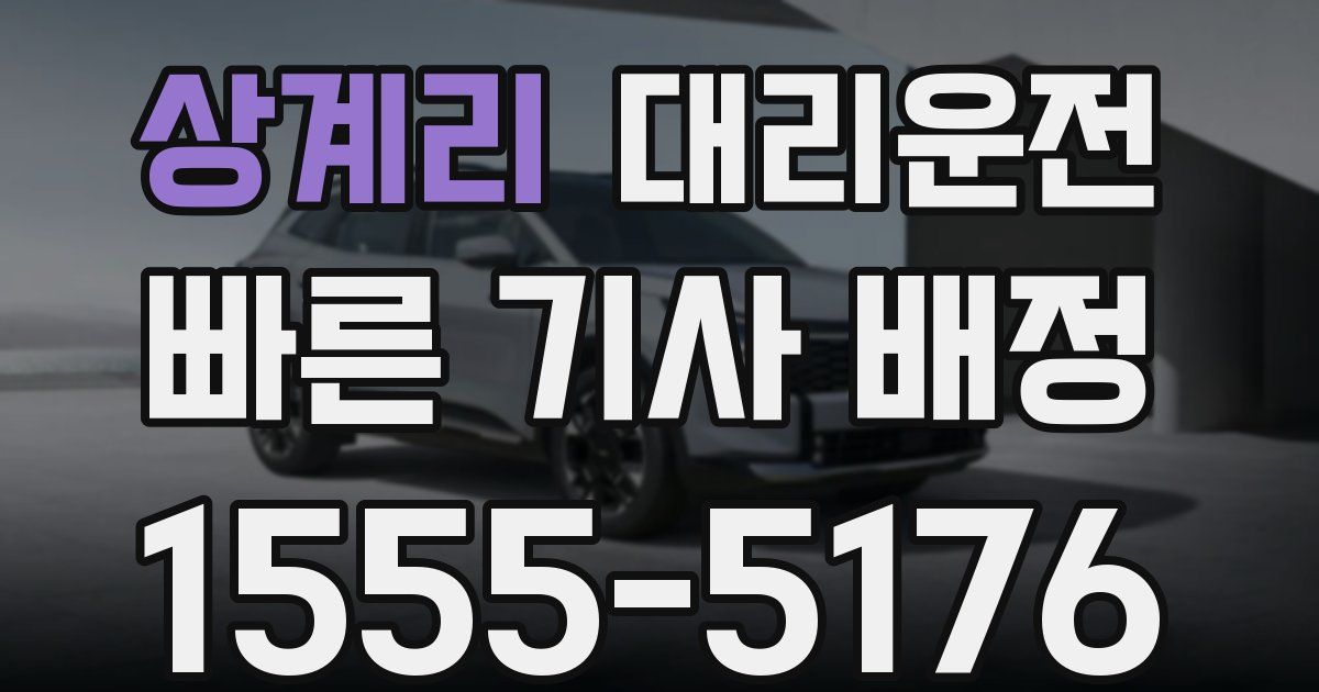 일일대리기사