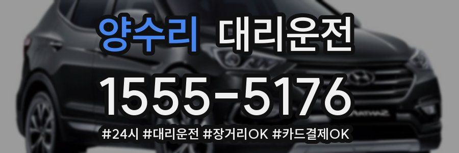 양수리 대리운전