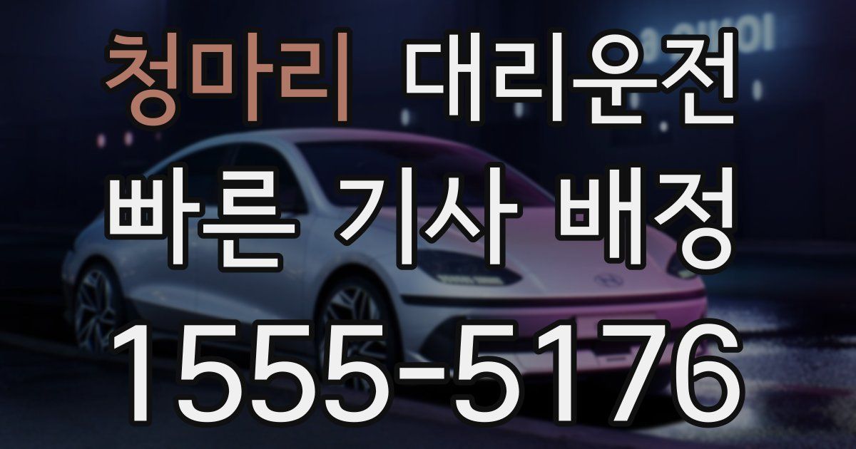 일일대리기사