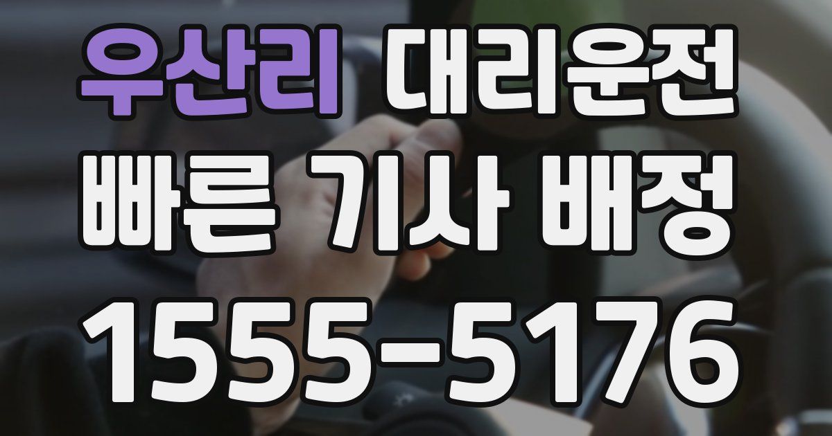 일일대리기사