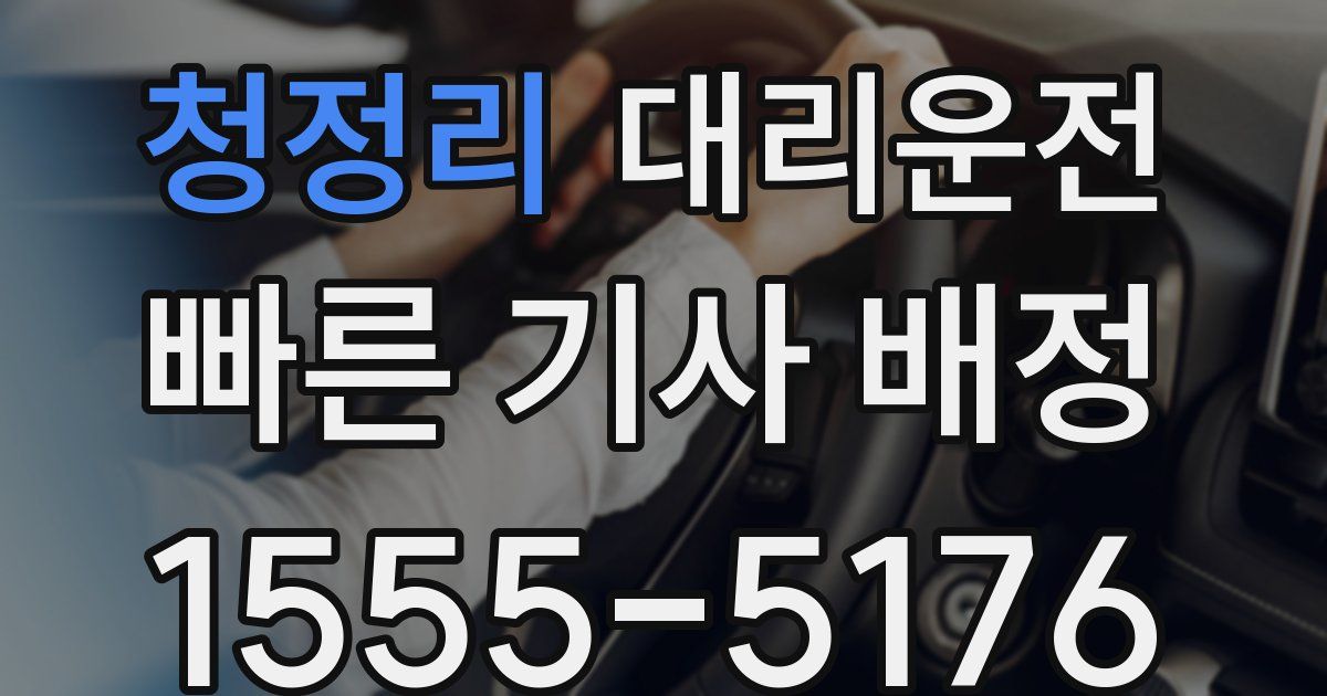 일일대리기사